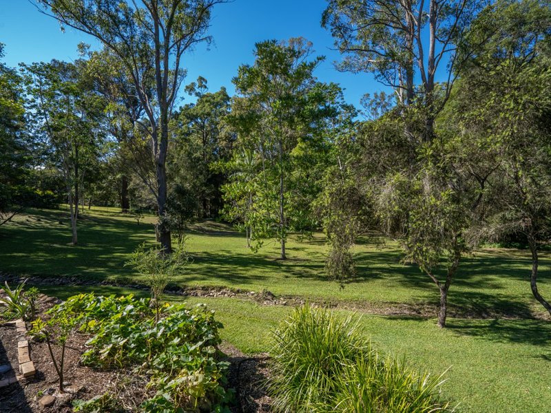 Photo - 18 Shetland Place, Mudgeeraba QLD 4213 - Image 16