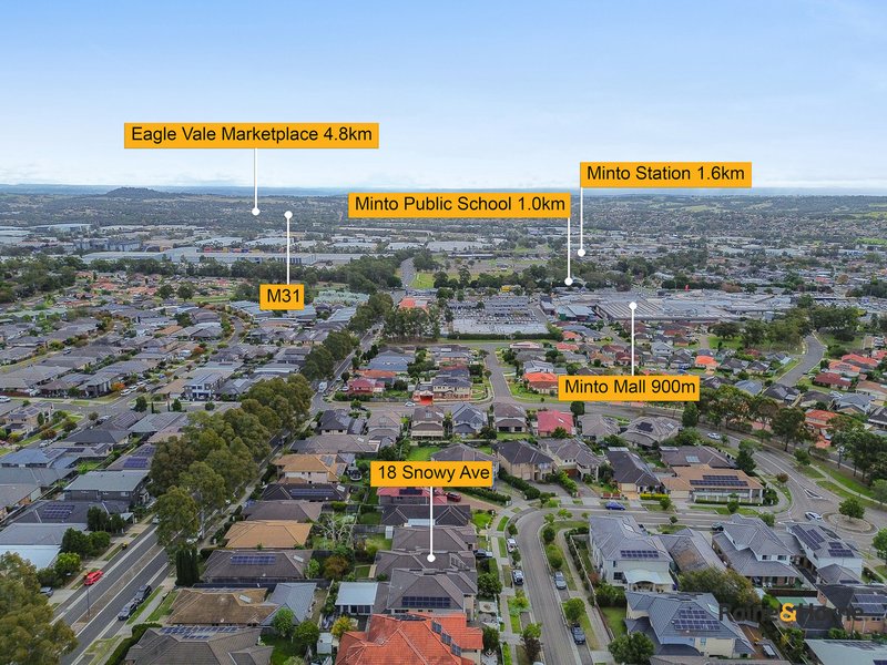 Photo - 18 Snowy Avenue, Minto NSW 2566 - Image 14