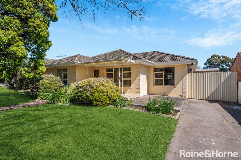 18 Sorrento Avenue, Newton SA 5074