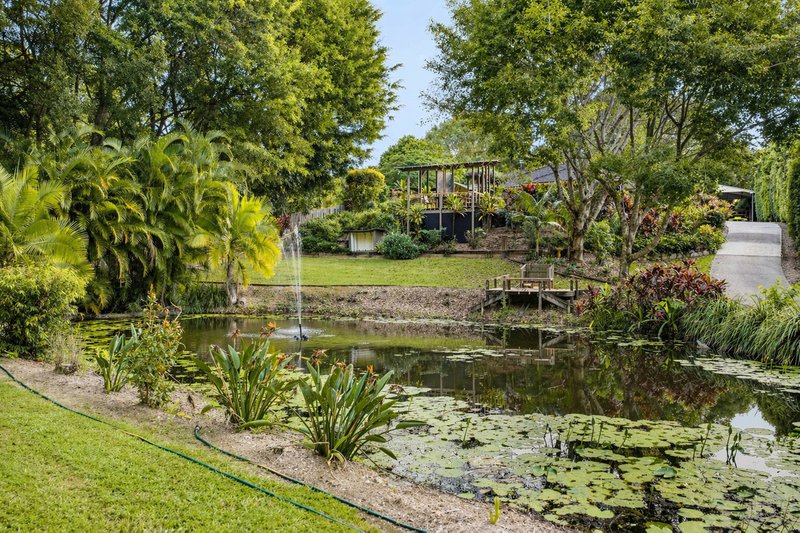 Photo - 18 Southeden Court, Cooroy QLD 4563 - Image 2