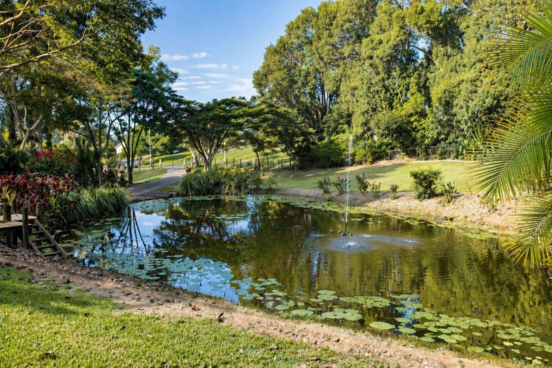 Photo - 18 Southeden Court, Cooroy QLD 4563 - Image 3