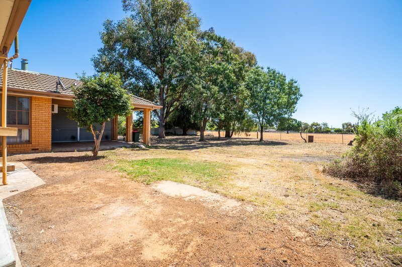 Photo - 18 Sunnyside Crescent, Walla Walla NSW 2659 - Image 13