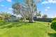 Photo - 18 Taloma Street, Gorokan NSW 2263 - Image 8