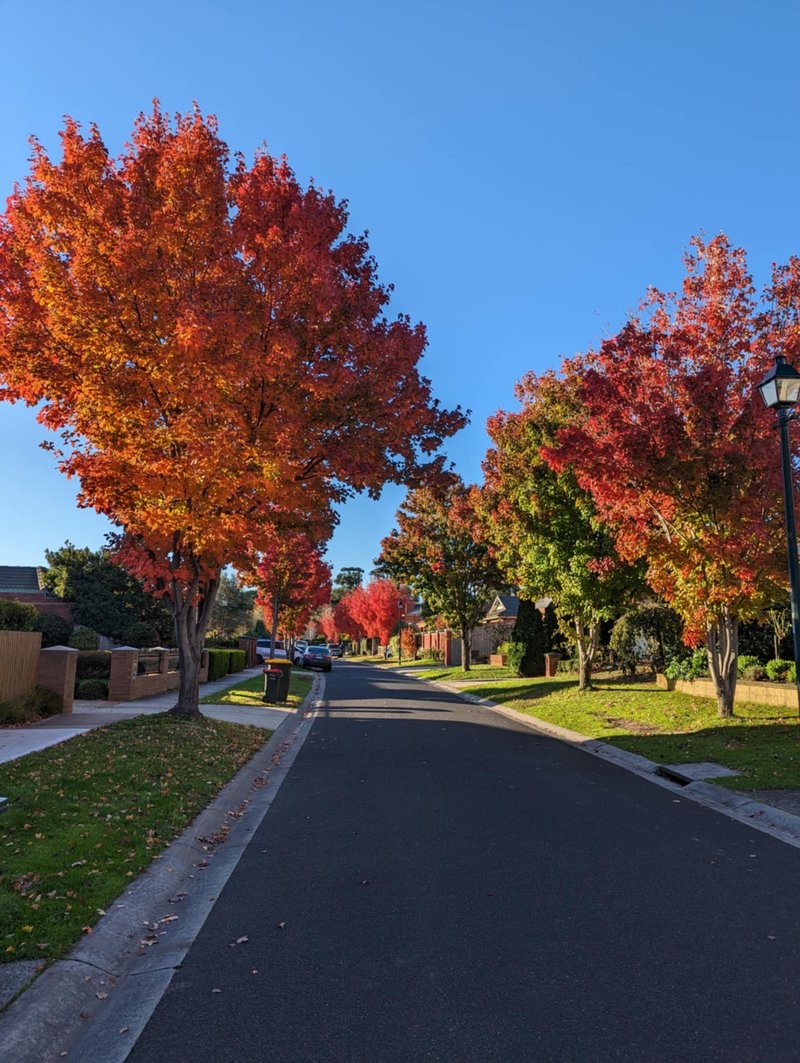 Photo - 18 Wattlebird Court, Burwood VIC 3125 - Image 16