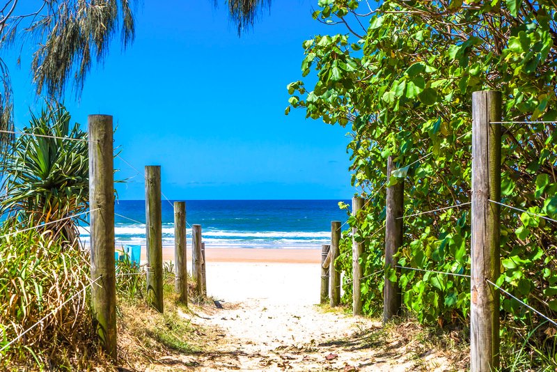 Photo - 18 Wrigley Street, Maroochydore QLD 4558 - Image 6