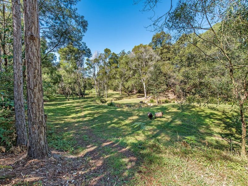 Photo - 180 Brewers Road, Cooran QLD 4569 - Image 11