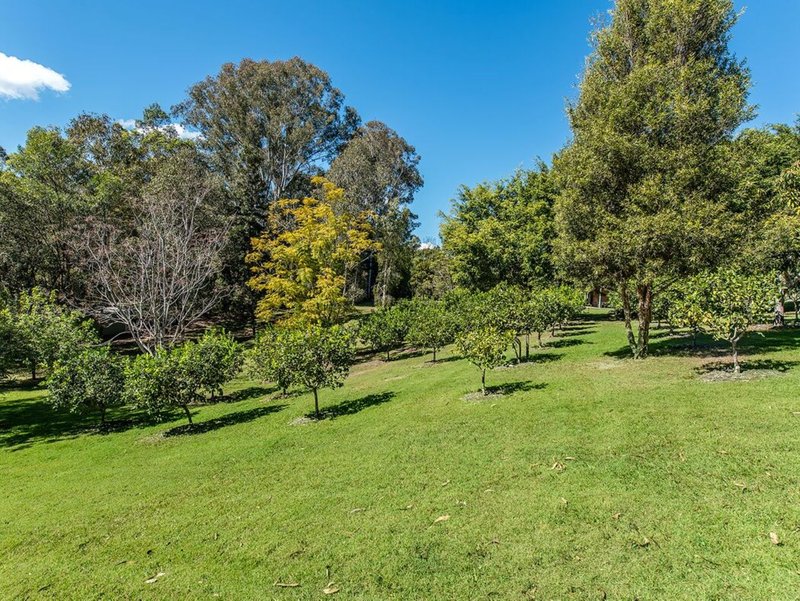 Photo - 180 Brewers Road, Cooran QLD 4569 - Image 12