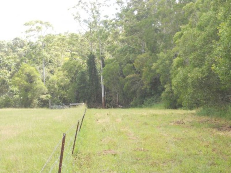 Photo - 180 Bunya Road, North Arm QLD 4561 - Image 5