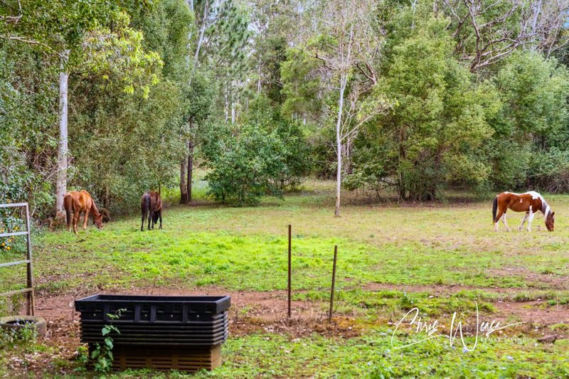 Photo - 180 Fletcher Road, Stony Creek QLD 4514 - Image 14