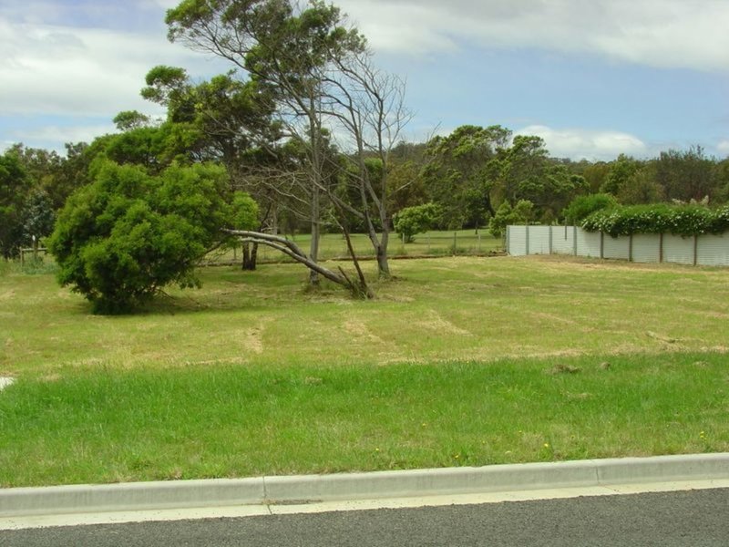 Photo - 180 Hazards View Drive, Coles Bay TAS 7215 - Image 1