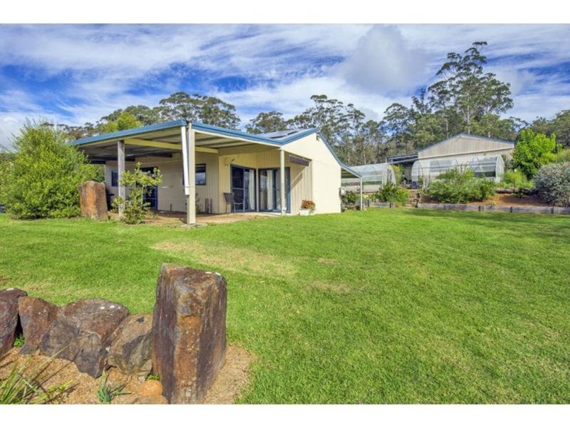 Photo - 180 Johnsens Road, Dorrigo NSW 2453 - Image 8