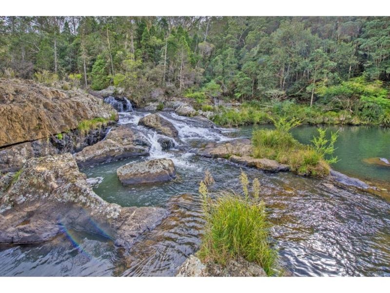 Photo - 180 Johnsens Road, Dorrigo NSW 2453 - Image 10