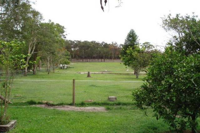 Photo - 180 Mackie Road, Narangba QLD 4504 - Image 2