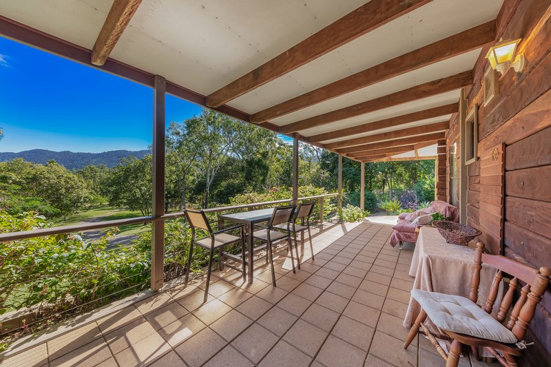 Photo - 180 Tucker Road, Riordanvale QLD 4800 - Image 16