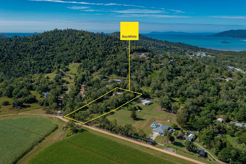 Photo - 180 Tucker Road, Riordanvale QLD 4800 - Image 19