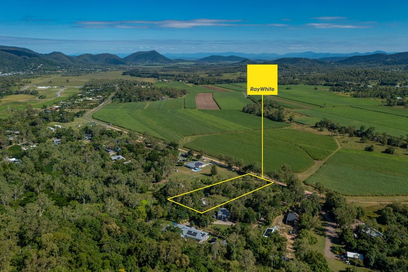 Photo - 180 Tucker Road, Riordanvale QLD 4800 - Image 20