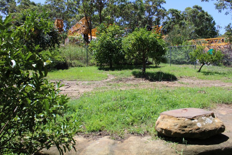 Photo - 180 Wisemans Ferry Road, Somersby NSW 2250 - Image 7