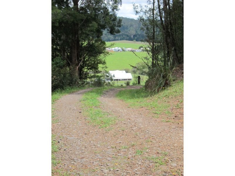 Photo - 1802 Eastern Dorrigo Way, Ulong NSW 2450 - Image 3