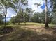 Photo - 1806 Gold Coast Springbrook Road, Springbrook QLD 4213 - Image 4