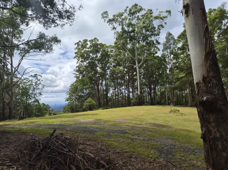 Photo - 1806 Gold Coast Springbrook Road, Springbrook QLD 4213 - Image 5