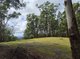 Photo - 1806 Gold Coast Springbrook Road, Springbrook QLD 4213 - Image 5