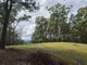 Photo - 1806 Gold Coast Springbrook Road, Springbrook QLD 4213 - Image 6