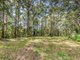 Photo - 1806 Gold Coast Springbrook Road, Springbrook QLD 4213 - Image 7