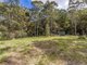 Photo - 1806 Gold Coast Springbrook Road, Springbrook QLD 4213 - Image 8