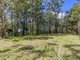 Photo - 1806 Gold Coast Springbrook Road, Springbrook QLD 4213 - Image 9