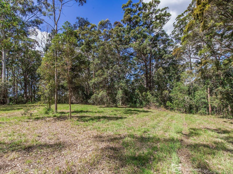 Photo - 1806 Gold Coast Springbrook Road, Springbrook QLD 4213 - Image 10