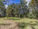 Photo - 1806 Gold Coast Springbrook Road, Springbrook QLD 4213 - Image 10