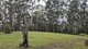 Photo - 1806 Gold Coast Springbrook Road, Springbrook QLD 4213 - Image 11