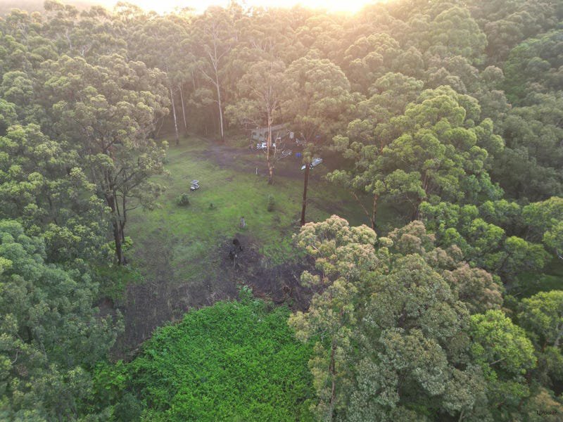 Photo - 1806 Gold Coast Springbrook Road, Springbrook QLD 4213 - Image 13