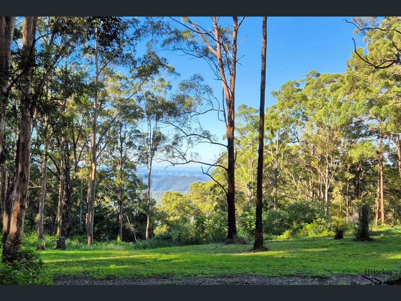 Photo - 1806 Gold Coast Springbrook Road, Springbrook QLD 4213 - Image 15