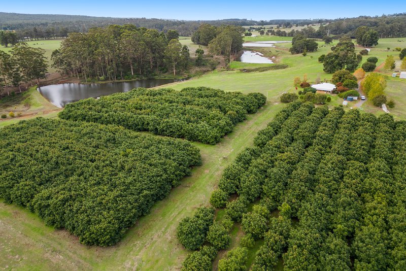 Photo - 1806 Graphite Road, Glenoran WA 6258 - Image 4