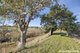 Photo - 1807 Kyneton-Redesdale Road, Barfold VIC 3444 - Image 20