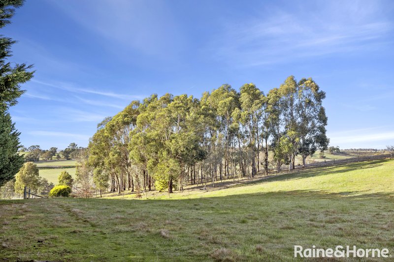 Photo - 1807 Kyneton-Redesdale Road, Barfold VIC 3444 - Image 22