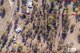 Photo - 181 Grantham Scrub Road, Veradilla QLD 4347 - Image 5