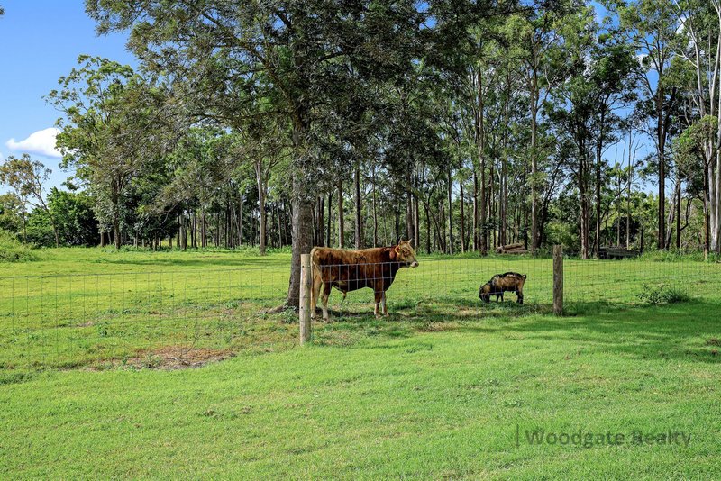 Photo - 181 Jarretts Road, Woodgate QLD 4660 - Image 28