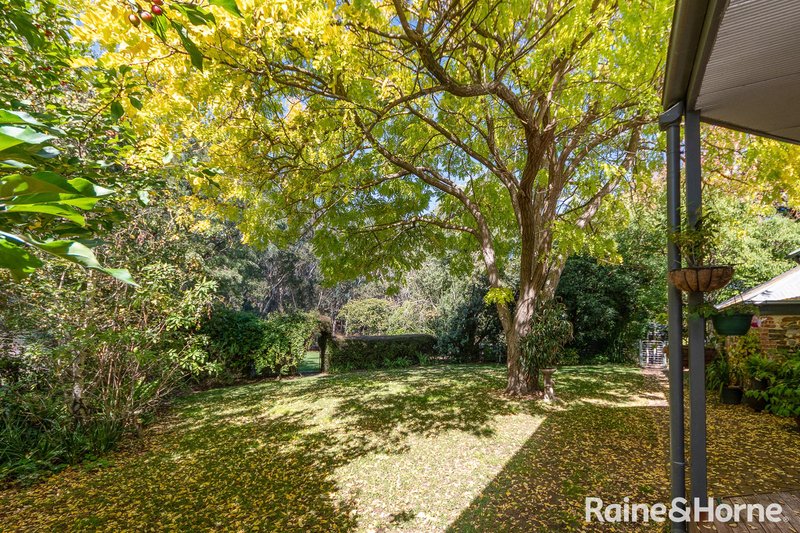 Photo - 181 Mcharg Creek Road, Mcharg Creek SA 5157 - Image 4