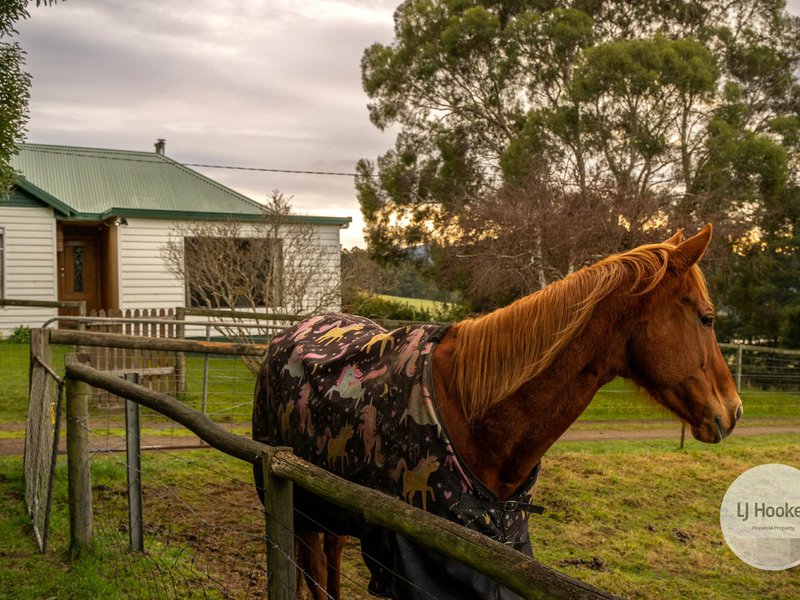 Photo - 181 Wallace Road, Cygnet TAS 7112 - Image 17