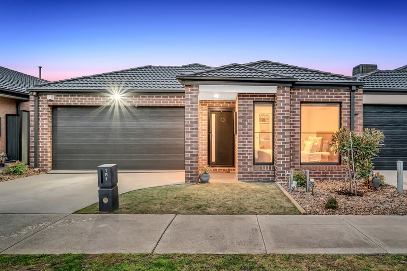 181 Wattletree Street, Craigieburn VIC 3064