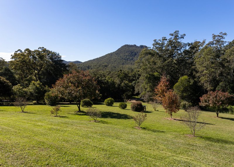 Photo - 1817 Comboyne Road, Killabakh NSW 2429 - Image 20