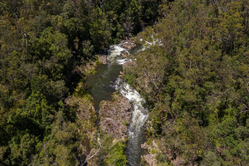 Photo - 182 Johnsens Road, Fernbrook , Dorrigo NSW 2453 - Image 9