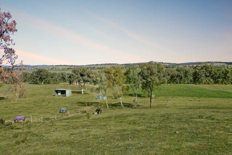 Photo - 1822 Kamilaroi Highway, Quirindi NSW 2343 - Image 7