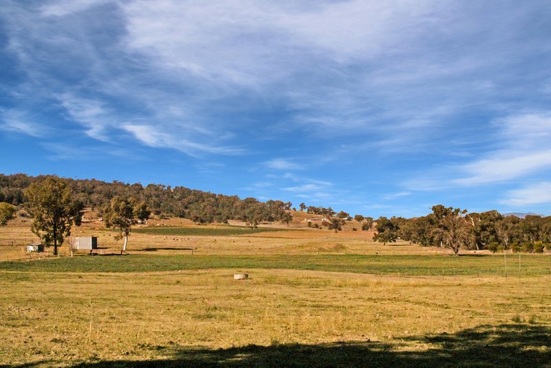 Photo - 1822 Kamilaroi Highway, Quirindi NSW 2343 - Image 9