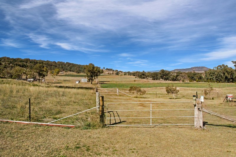 Photo - 1822 Kamilaroi Highway, Quirindi NSW 2343 - Image 20