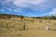 Photo - 1822 Kamilaroi Highway, Quirindi NSW 2343 - Image 20