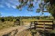 Photo - 1822 Kamilaroi Highway, Quirindi NSW 2343 - Image 23