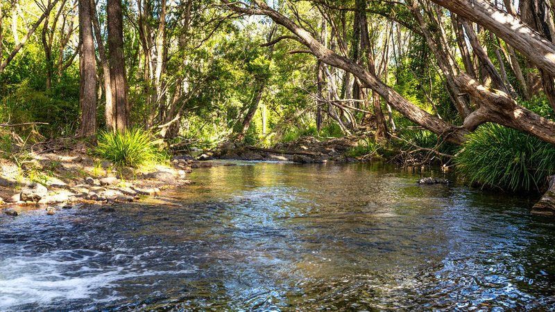 Photo - 183 Bobin Creek Road, Bobin NSW 2429 - Image 3